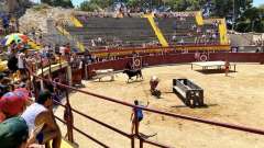 detske-tabory-sindibad-016