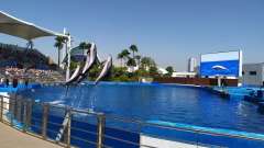 detske-tabory-sindibad-040