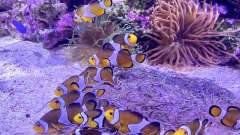 detske-tabory-sindibad-047