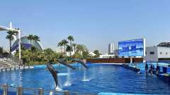 detske-tabory-sindibad-051