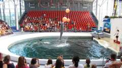 vylet-bulharsko-delfinarium-07