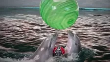 vylet-delfinarium-003