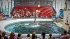 vylet-delfinarium-007