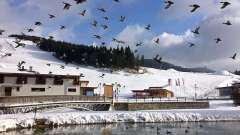 vylet-slovensko-oravice-08