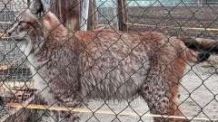 vylet-slovensko-zoo-02