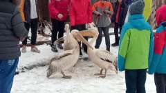 vylet-slovensko-zoo-04