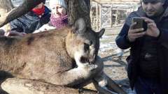 vylet-slovensko-zoo-05