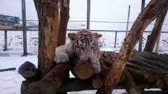 vylet-slovensko-zoo-06