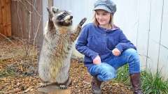 vylet-slovensko-zoo-07