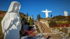 rio-004