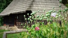 skanzen-oravske-dediny-003