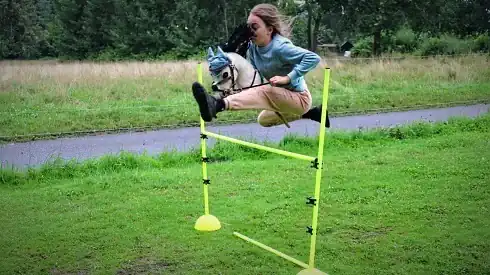 tábory hobby horsing