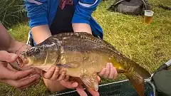 Tábory chyť a pusť